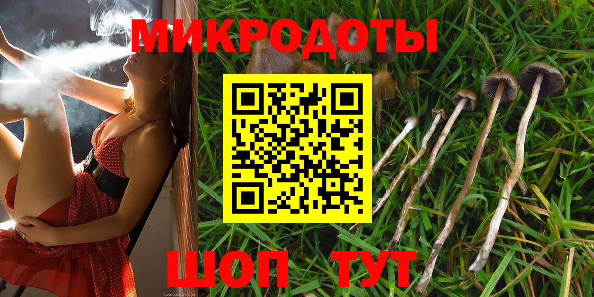 Галлюциногенные грибы Cubensis Алейск