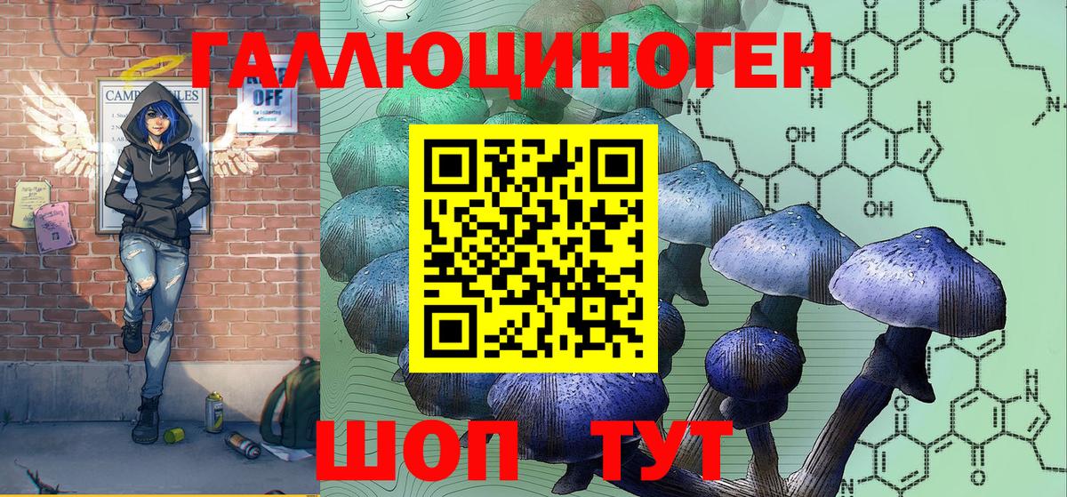 Алейск  Псилоцибиновые грибы мухоморы  Вход с VPN 